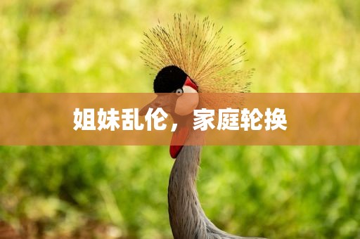 姐妹乱伦，家庭轮换