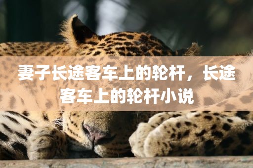 妻子长途客车上的轮杆，长途客车上的轮杆小说