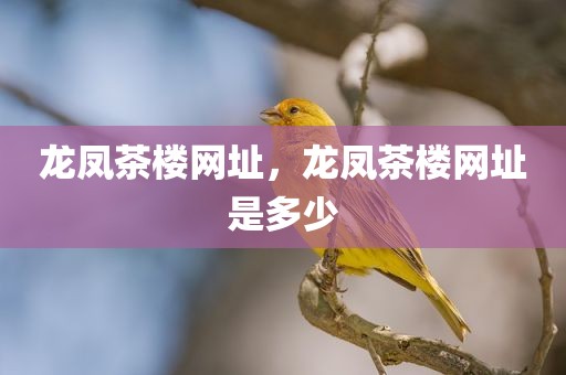 龙凤茶楼网址，龙凤茶楼网址是多少
