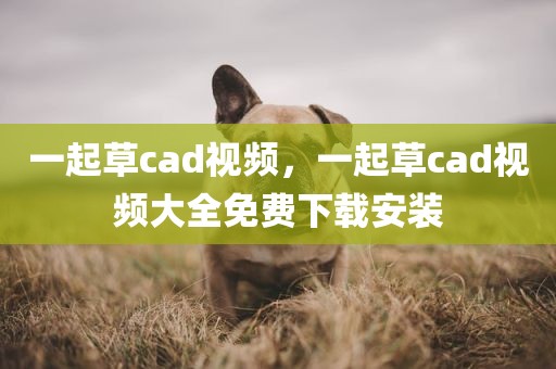 一起草cad视频，一起草cad视频大全免费下载安装