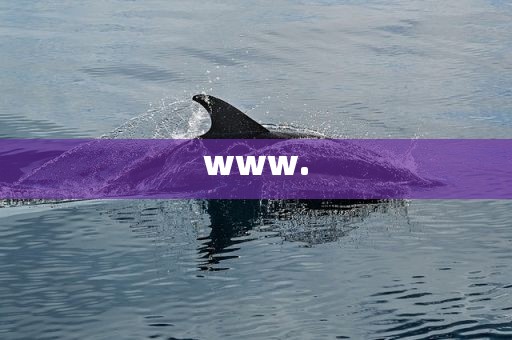 www.