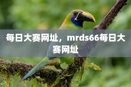 每日大赛网址，mrds66每日大赛网址