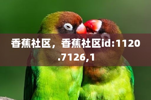 香蕉社区，香蕉社区id:1120.7126,1