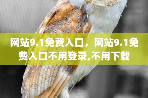网站9.1免费入口，网站9.1免费入口不用登录,不用下载