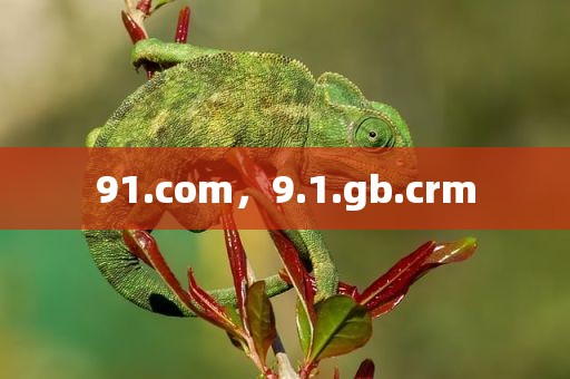 91.com，9.1.gb.crm