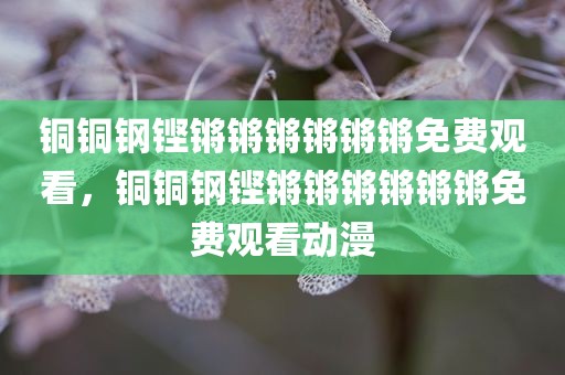 铜铜钢铿锵锵锵锵锵锵免费观看，铜铜钢铿锵锵锵锵锵锵免费观看动漫
