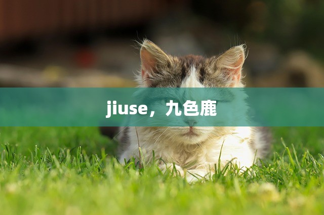 jiuse，九色鹿