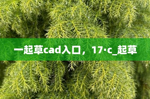 一起草cad入口，17·c_起草