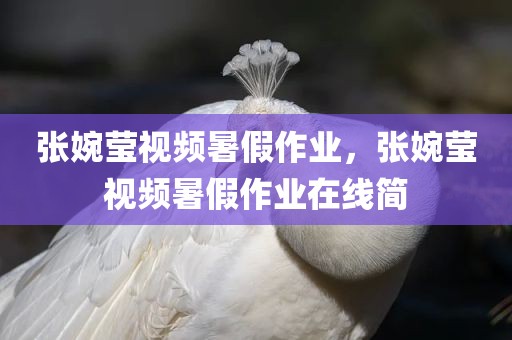 张婉莹视频暑假作业，张婉莹视频暑假作业在线简