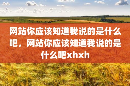 网站你应该知道我说的是什么吧，网站你应该知道我说的是什么吧xhxh