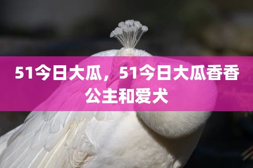 51今日大瓜，51今日大瓜香香公主和爱犬