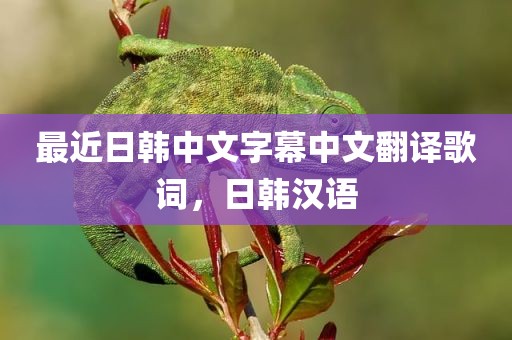 最近日韩中文字幕中文翻译歌词，日韩汉语