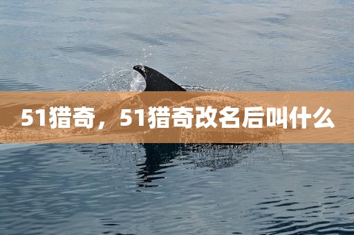 51猎奇，51猎奇改名后叫什么