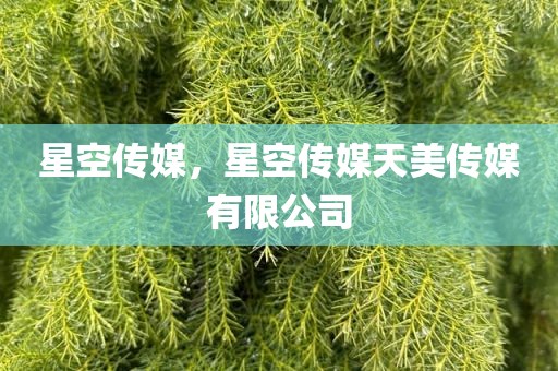 星空传媒，星空传媒天美传媒有限公司