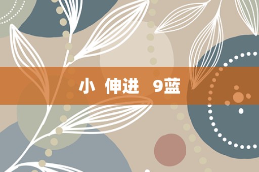 小  伸进   9蓝