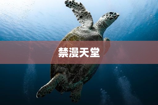 禁漫天堂