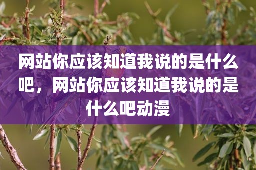 网站你应该知道我说的是什么吧，网站你应该知道我说的是什么吧动漫