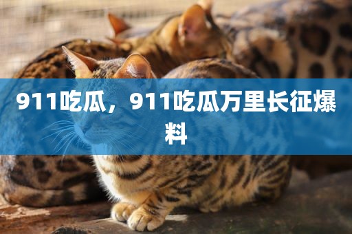 911吃瓜，911吃瓜万里长征爆料