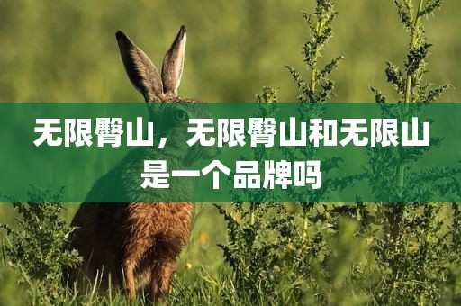 无限臀山，无限臀山和无限山是一个品牌吗