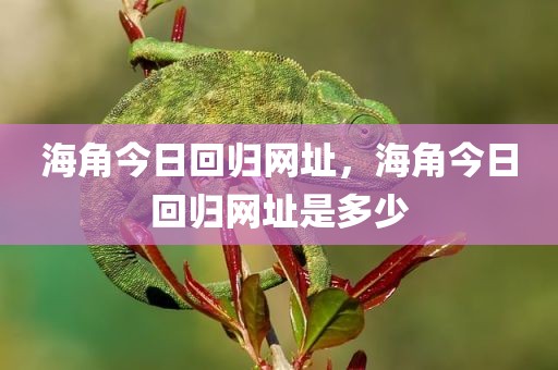海角今日回归网址，海角今日回归网址是多少