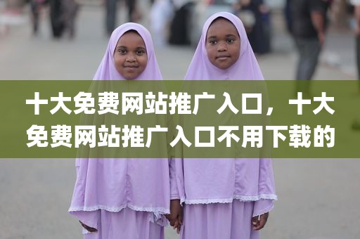 十大免费网站推广入口，十大免费网站推广入口不用下载的