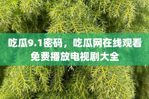 吃瓜9.1密码，吃瓜网在线观看免费播放电视剧大全