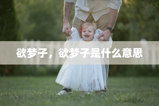 欲梦子，欲梦子是什么意思