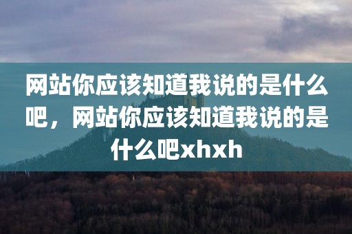 网站你应该知道我说的是什么吧，网站你应该知道我说的是什么吧xhxh