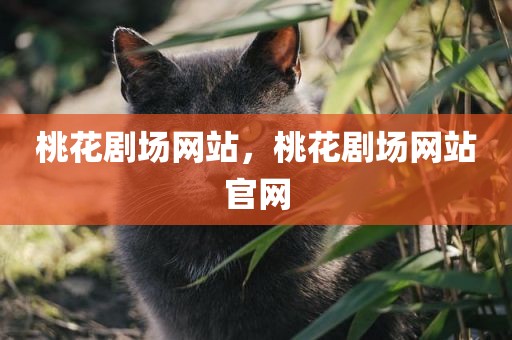 桃花剧场网站，桃花剧场网站官网