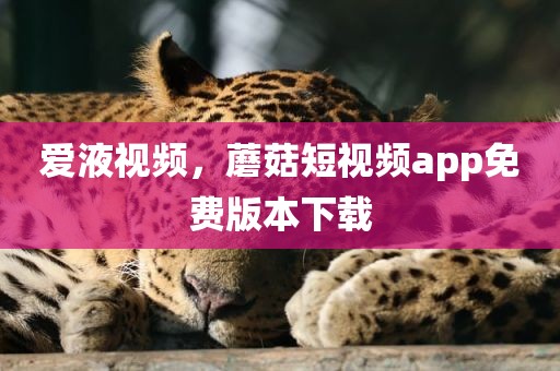 爱液视频，蘑菇短视频app免费版本下载