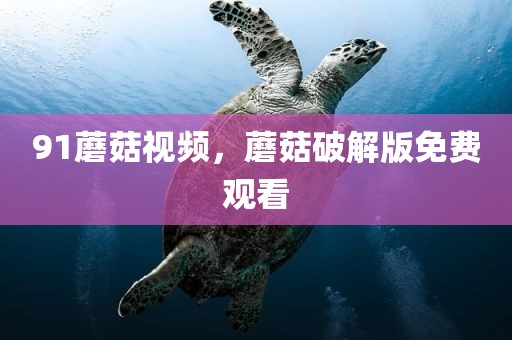 91蘑菇视频，蘑菇破解版免费观看