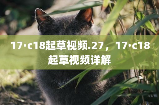 17·c18起草视频.27，17·c18起草视频详解