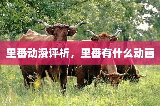 里番动漫评析，里番有什么动画