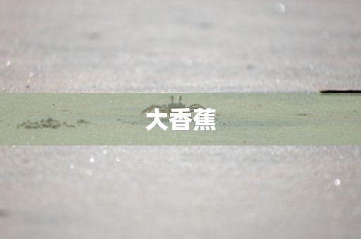 大香蕉