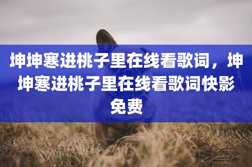 坤坤寒进桃子里在线看歌词，坤坤寒进桃子里在线看歌词快影免费