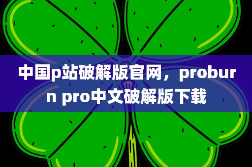 中国p站破解版官网，proburn pro中文破解版下载