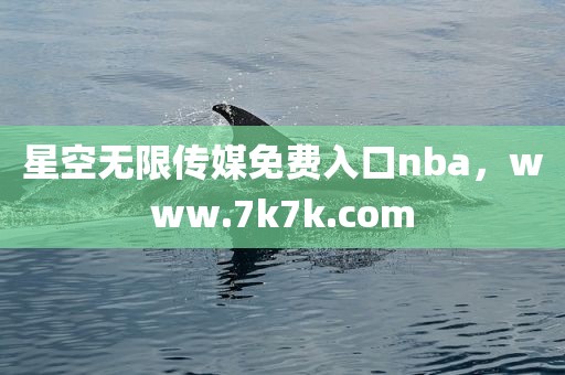 星空无限传媒免费入口nba，www.7k7k.com