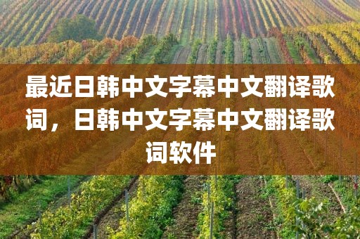 最近日韩中文字幕中文翻译歌词，日韩中文字幕中文翻译歌词软件