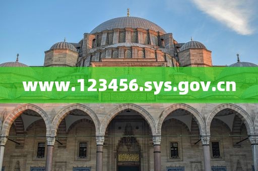 www.123456.sys.gov.cn