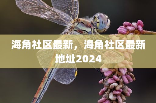 海角社区最新，海角社区最新地址2024