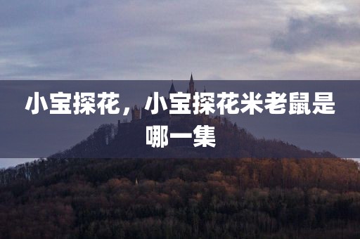 小宝探花，小宝探花米老鼠是哪一集