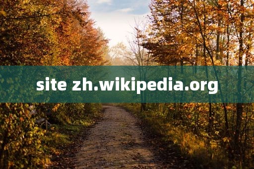 site zh.wikipedia.org