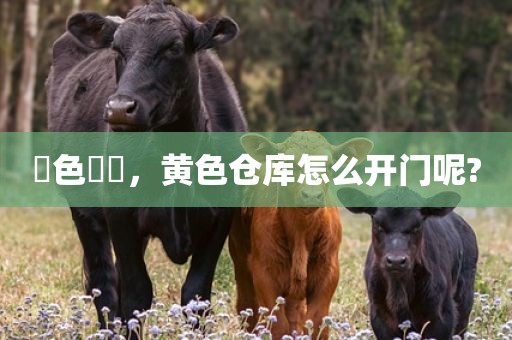 黃色倉庫，黄色仓库怎么开门呢?