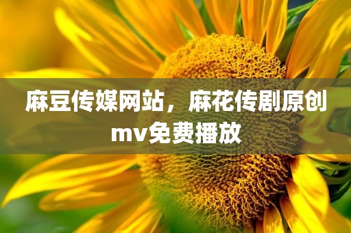 麻豆传媒网站，麻花传剧原创mv免费播放