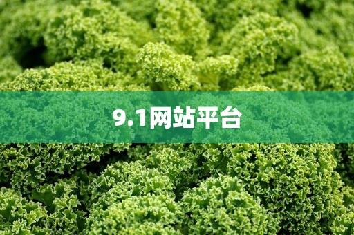 9.1网站平台