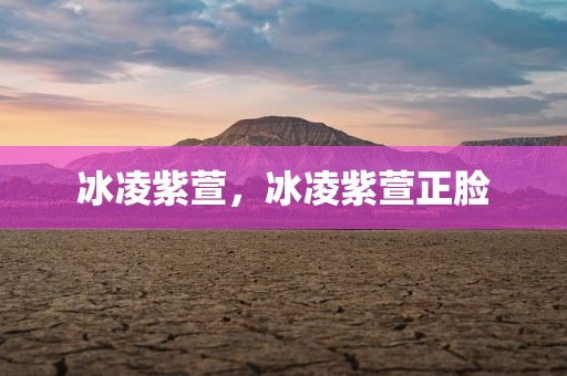 冰凌紫萱，冰凌紫萱正脸