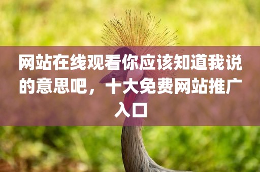网站在线观看你应该知道我说的意思吧，十大免费网站推广入口