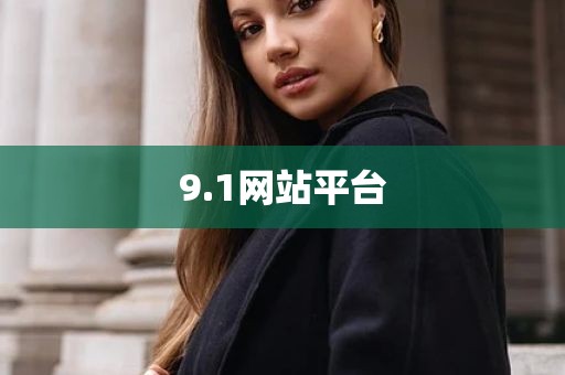 9.1网站平台