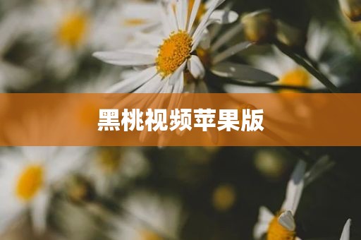 黑桃视频苹果版