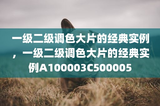 一级二级调色大片的经典实例，一级二级调色大片的经典实例A100003C500005